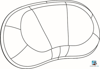 OPTIONS WELLNESS Repose-tête